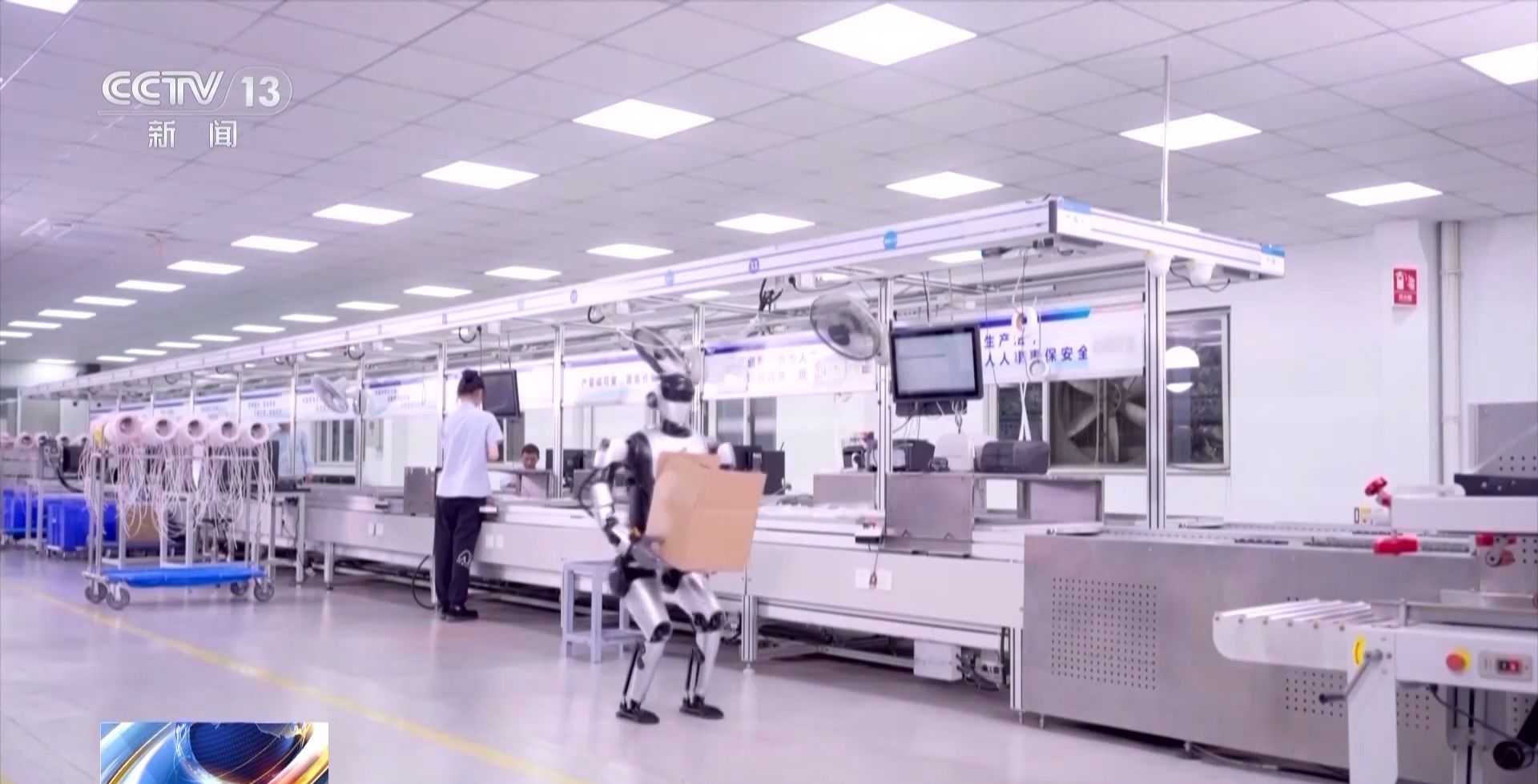 段辰儒与贾皓钧分工类似于“道”与“术”的结合